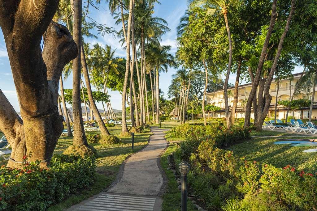 Hotel Tamarindo Diria Beach Resort 设施 照片